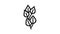 birch leaf line icon animation
