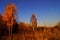 Birch light beauty of forests, gives people joy, peace and hope.