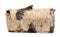 Birch log isolated on a white background. wooden log firewood