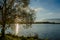 birch on the Ñoast lake.