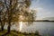 birch on the Ñoast lake. Reflection of light in the water from the rays of the setting sun. Great place for outdoor recreation