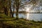 birch on the Ñoast lake. Reflection of light in the water from the rays of the setting sun. Great place for outdoor recreation