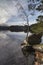 Birch and Rock on Loch Garten in Scotland.