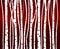 Birch tree forest pattern