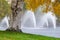 Birch tree and fountains on a windy autumn day