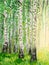 Birch Tree Grove, oil painting.