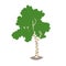 Birch tree icon vector illustration. Travel to Russia concept art cartoon style.