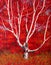 Birch Tree Painting