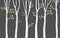 Birch Tree Silhouette Background Silhouette