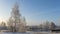 Birch trees in hoarfrost in winter daytime. Snow covered field, some bare deciduous trees, blue sky. Nature background.