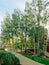Birch trees and Modern glass apartment building