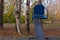 Birch trees one of them marked with red cross for cutting, near playground, can also see blurred seat of children blue swing