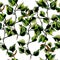 Birch watercolor seamless pattern