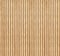 Birch wood section texture