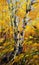 Birches in autumn wood