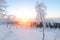 Birches in hoarfrost, morning, frosty dawn in the Arctic tundra.