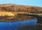 Birches reflected in the blue surface of the water 2