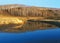 Birches reflected in the blue surface of the water