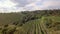 Bird aerial view of Vineyards in Palava