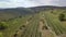 Bird aerial view of Vineyards in Palava region,