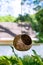 Bird animal feeder nest outdoors hanging on a string from the roof