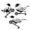 Bird and antique skeleton key black and white vector design set