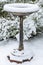 Bird Bath Covered with Snow #2