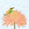 Bird bee-eater chrysanthemum alone
