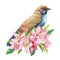 bird on blooming branch, sakura flowers, spring watercolor illustration, hand drawn