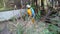 Bird Blue-and-yellow macaw standing