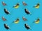 Bird Bobolink Grosbeak Rosy-Finch Cute Cartoon Seamless Wallpaper Background