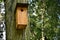 Bird box in the forest