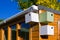 Bird boxes on garden shed