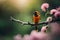 bird on a branch red backed shrike