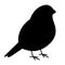 Bird bullfinch vector illustration black silhouette profile