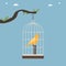 Bird cage