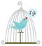 Bird in cage