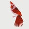 Bird cardinal vector illustration flat style front