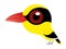 Bird cartoon, A birds cartoon of Black-naped Oriole.