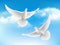 Bird in clouds. Flying white pigeons in blue sky peaceful religion concept with realistic birds vector background