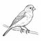 Bird Coloring Book Page: Finch Outline For Children\\\'s Coloring