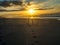 Bird couple on False Bay beach in South Africa