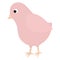 Bird. Cute pink chick. Color vector illustration. A small songbird with big eyes. Isolated background.