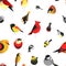 Bird different types of animals bullfinch seamless pattern vector.
