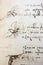 Bird, dove, mechanism of flight in the vintage book Manuscripts of Leonardo da Vinci, Codex on the Flight of Birds by T.