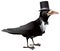 Bird dressed in black tie and top hat
