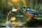bird drinking water in jungle charming scene