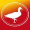 Bird  Duck Goose Teal Illustration Logo Background Image