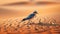 Bird In Dusty Desert With Low Depth Of Field