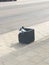 A bird eating crisps from a rubbish bin in a city.